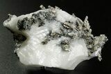 Native Silver in Calcite - Morocco #362731-1